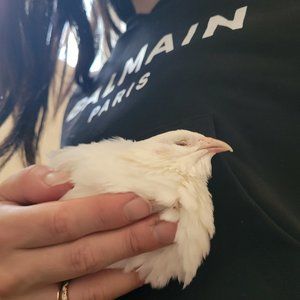 Meet your Posher, Liv